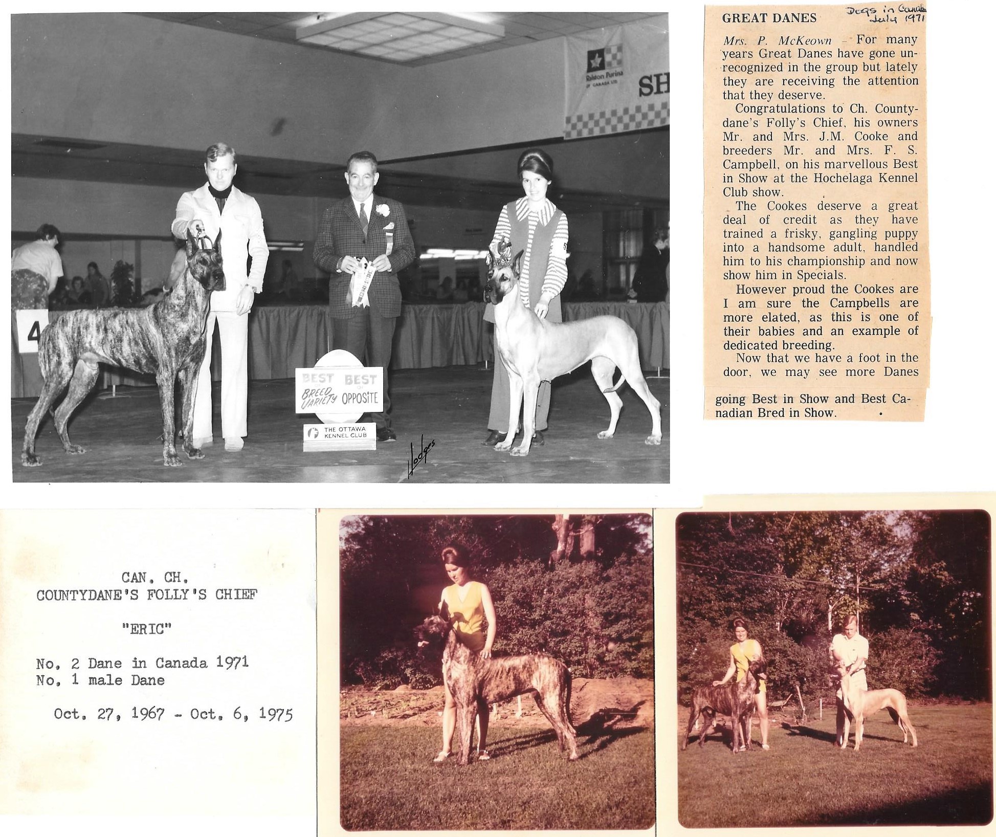 Can Ch County Danes Follys Chief